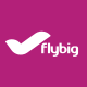 FlyBig logo